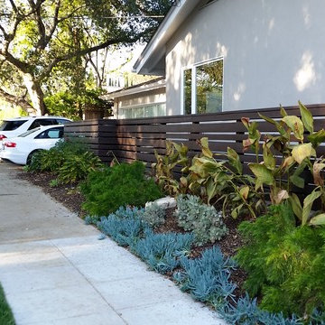 General Clean-up & Plant Additions