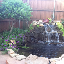 koi pond