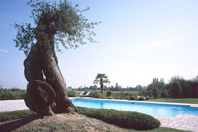 Ispirazione per una piscina mediterranea
