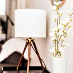 Home Design to Align