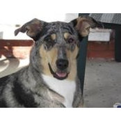 Collin McFadden's photo