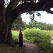 Debi Johnson's photo