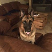 Mishelle Rowlett-Sprague's photo