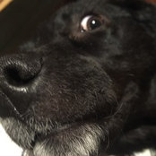 Foto de mantonialf
