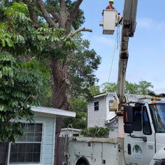 V&M Tree Services Inc