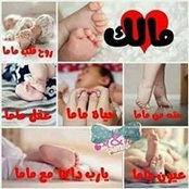 Rony Refaat's photo