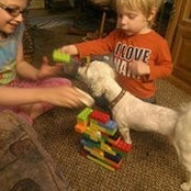Sandi Gunderson's photo