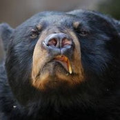 Dan Stark's photo