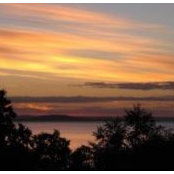 Pat Penske's photo