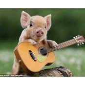 Diane Vandike's photo