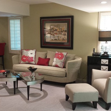Lower Level Remodel