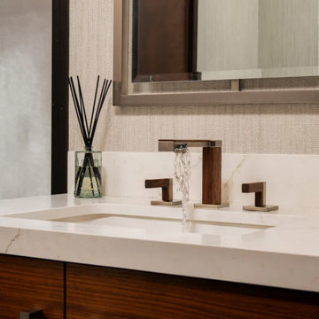 Sink & Faucet