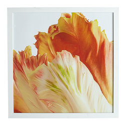 PARROT TULIP WALL ART - NEW - Products