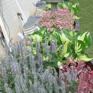 Cottage Gardens