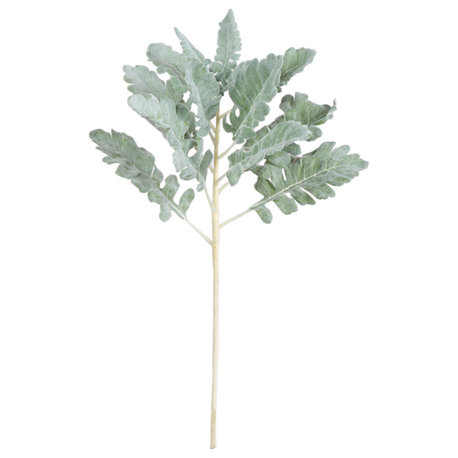 Vickerman 17'' Green Dusty Miller Spray 3/Pk