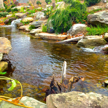 Garden Ponds, Back Yard Ponds, Landscape Ideas, Baltimore County, Maryland (MD)