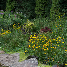 garden ideas