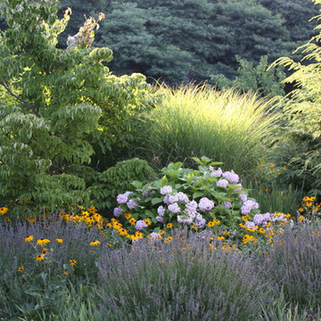 Personal Landscape
