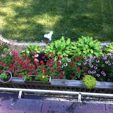 The experiment grounds, aka front foundation at my house.