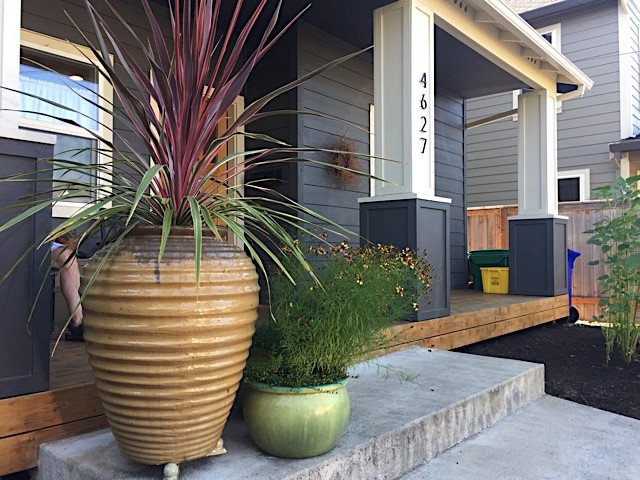 13 Summer Container Gardens From Houzz Readers 13 Summer Container Gardens From Houzz Readers