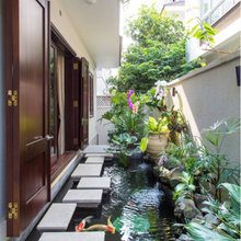 koi pond