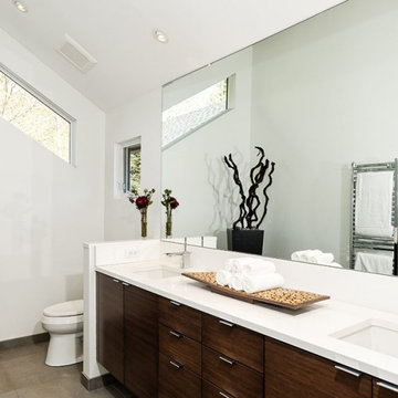 Basalt Contemporary - Remodel