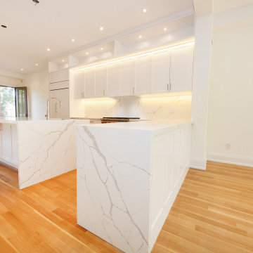 Luxury Custom kitchen Remodel