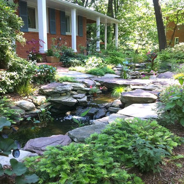 A Pond for the Front Entry