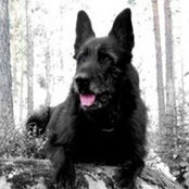 Michaela Ericsson's photo