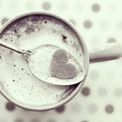 Fatima Animer's photo