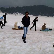 Niraj Singhs foto