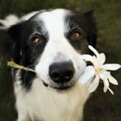 Lauren McClellan's photo
