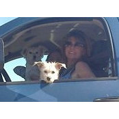 Kathy Paquette's photo