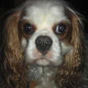 Donna McCarthy's photo