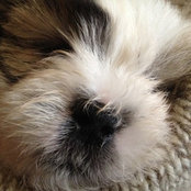 Foto von maxandjerry