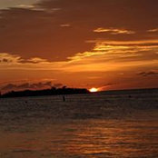 James D.Reed's photo