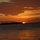 jd_reed57