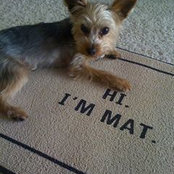 Matthias Büchner's photo