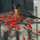webuser_396005