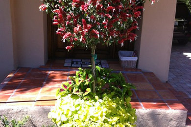 Photo of a contemporary front yard landscaping in Tampa.