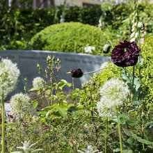 Garden Tour: A Scented Garden Designed to Lift the Spirits