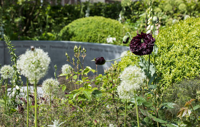 A Scented Garden Designed to Lift the Spirit