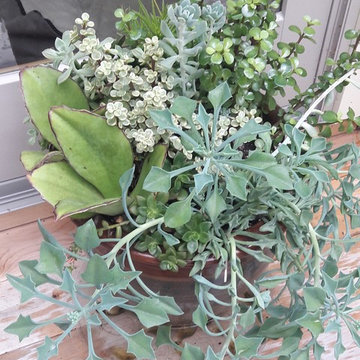 Container Design - Spring and Summer