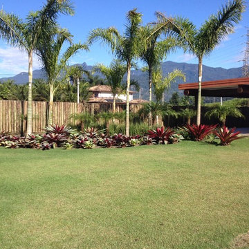 Tropical garden