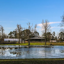 Wetlands