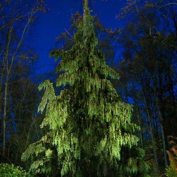 Somerset Hills NJ Landscape Lighting