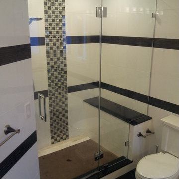 Showerguard Inline Frameless Glass Enclosure done by Exceptional Glass LLC
