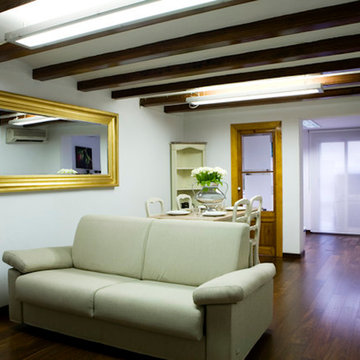 Barcelona classical apartment remodeling