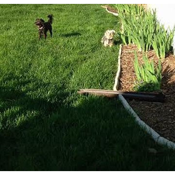 Organic-Based Lawn Fertility