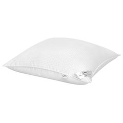 Dream Supreme Plus Gel Fiber-Filled Pillows King Set of 2